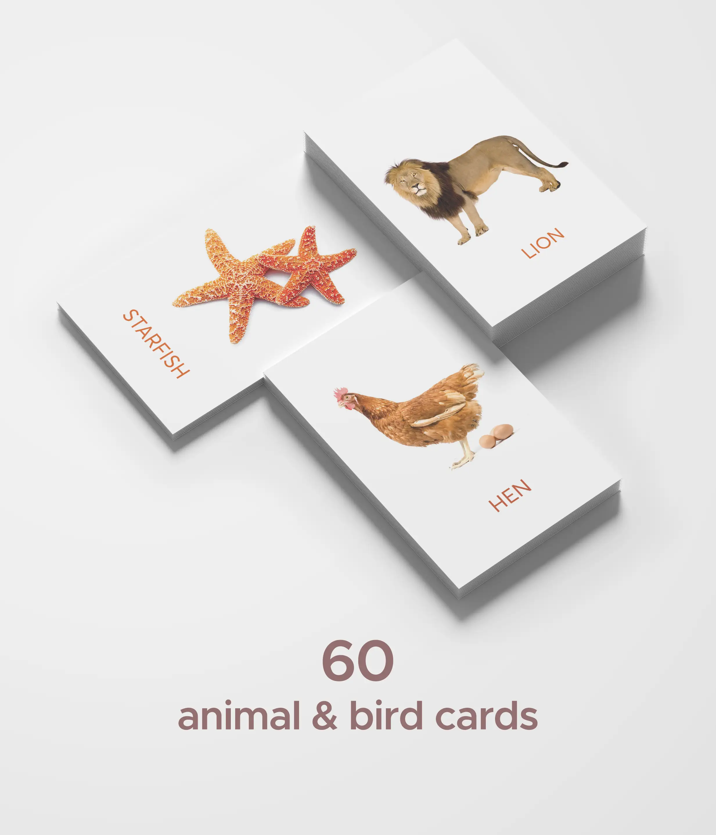 animals